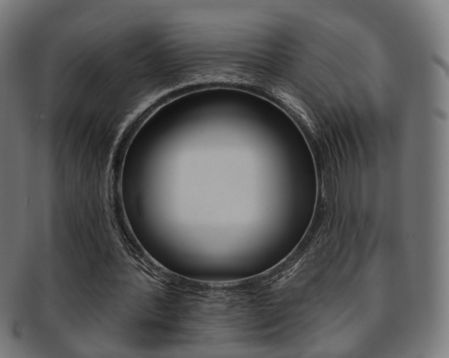 X0000092030388200709061355