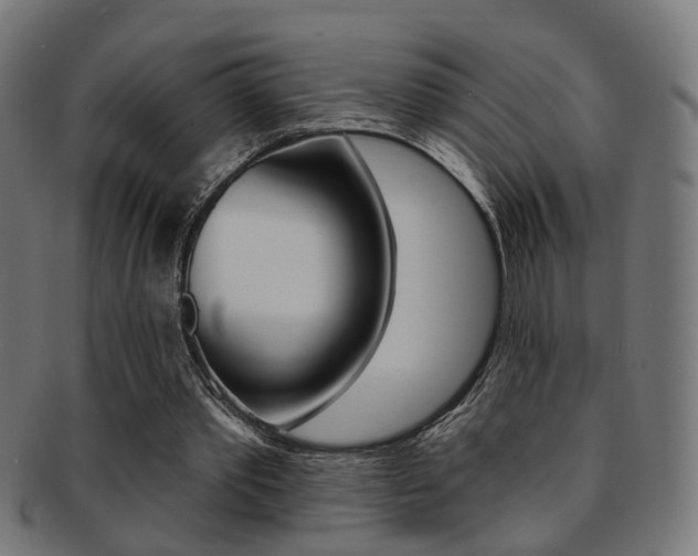 X0000092030389200709061355