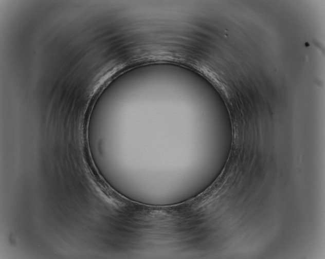 X0000092030390200709061355