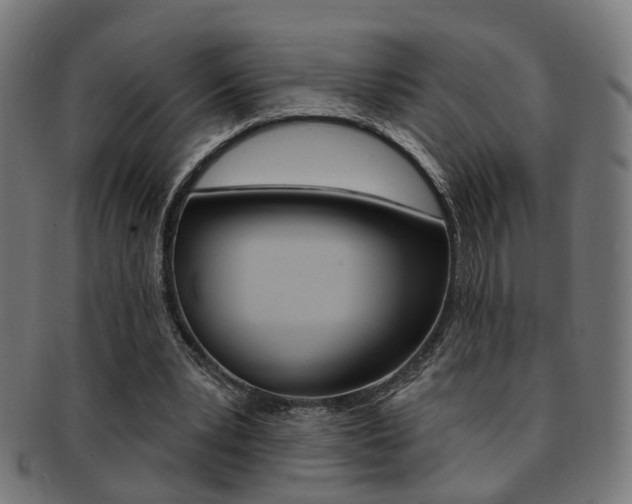 X0000092030391200709061355