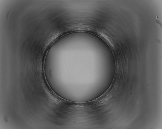 X0000092030394200709061355