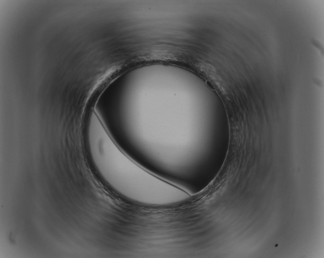 X0000092030395200709061355