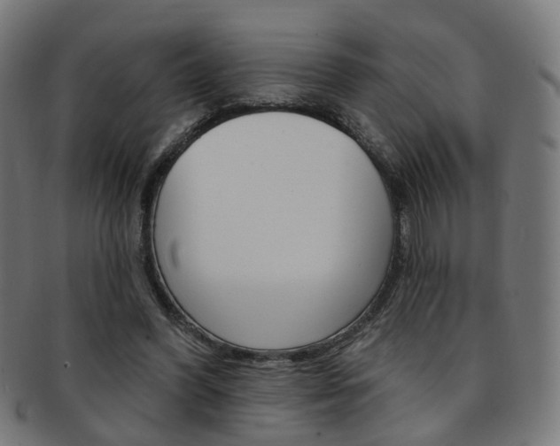 X0000092030396200709061355