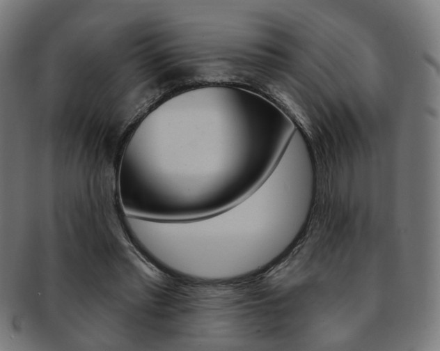 X0000092030397200709061355