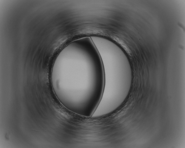 X0000092030399200709061355