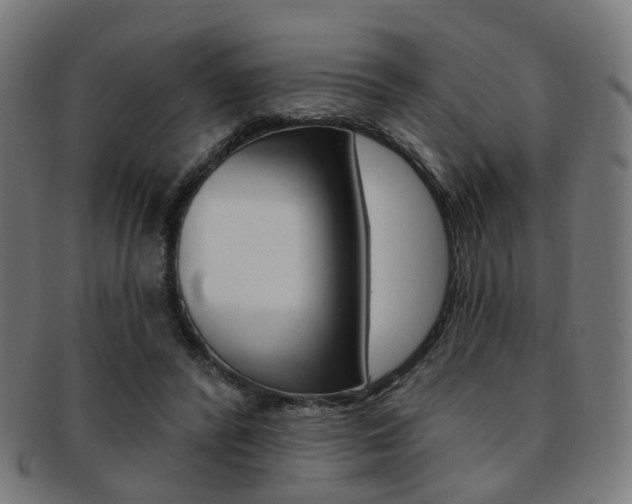 X0000092030400200709061355