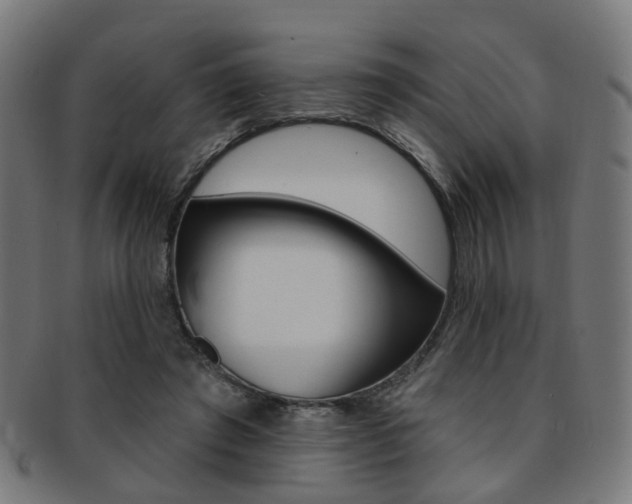 X0000092030401200709061355