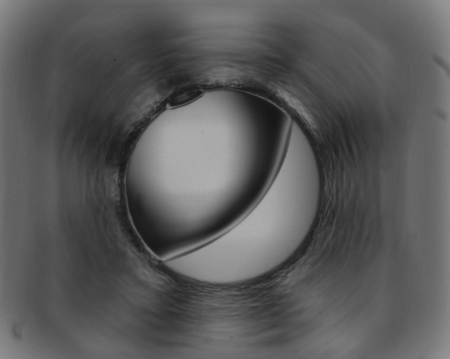 X0000092030403200709061355