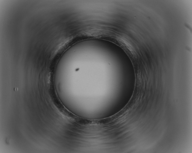 X0000092030404200709061355