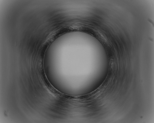 X0000092030408200709061355