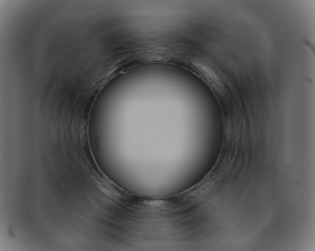 X0000092030409200709061355