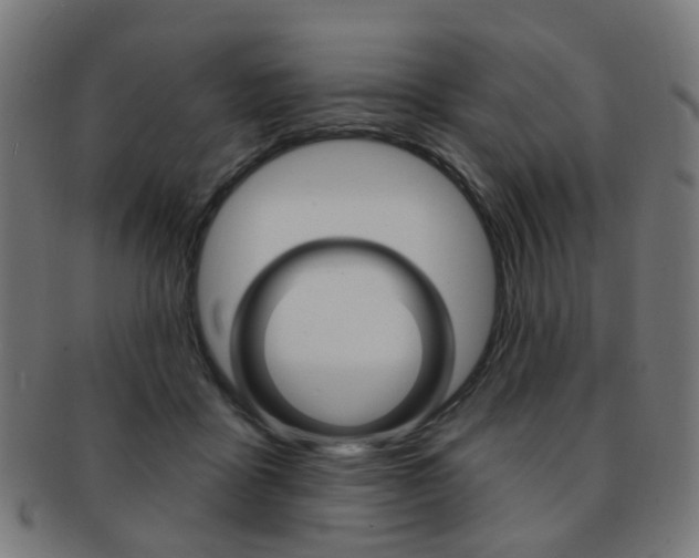 X0000092030411200709061355