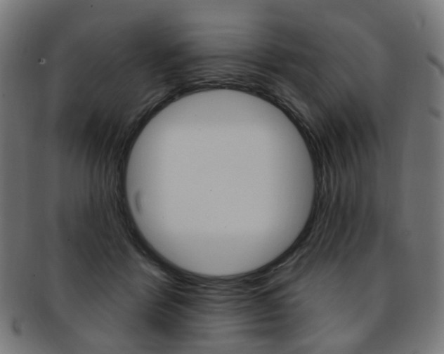 X0000092030412200709061355