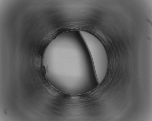 X0000092030413200709061355