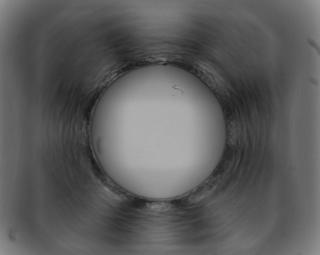 X0000092030414200709061355