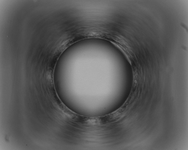X0000092030415200709061355