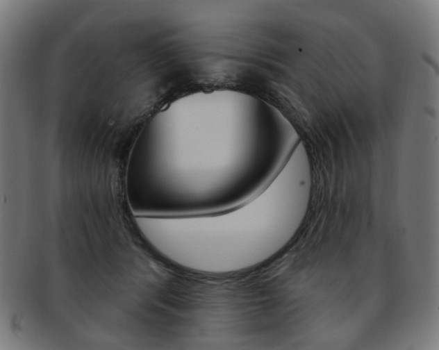 X0000092030416200709061355