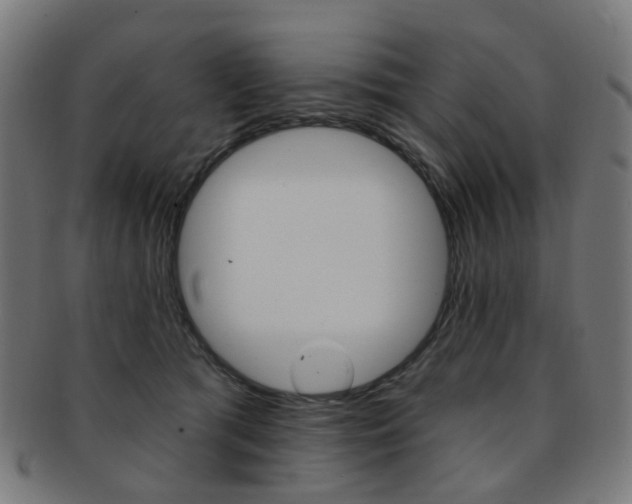 X0000092030417200709061355