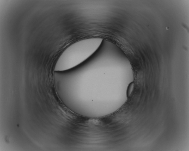 X0000092030418200709061355
