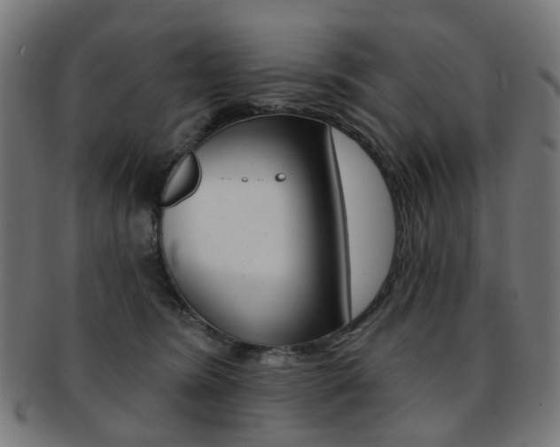 X0000092030420200709061355