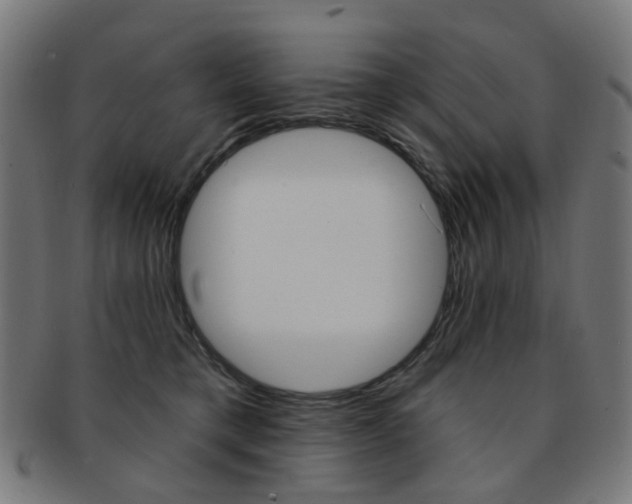 X0000092030421200709061355