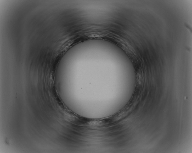 X0000092030422200709061355
