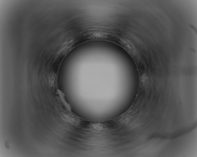 X0000092030423200709061355