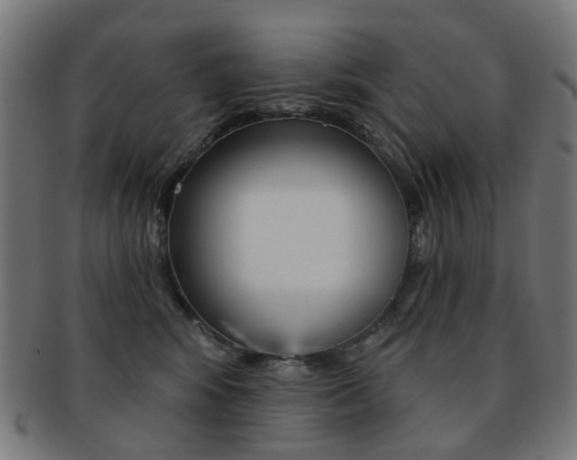 X0000092030424200709061355