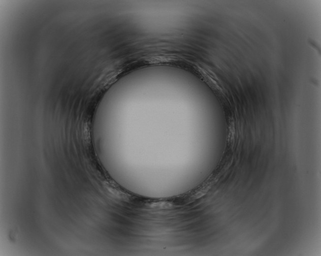 X0000092030426200709061355