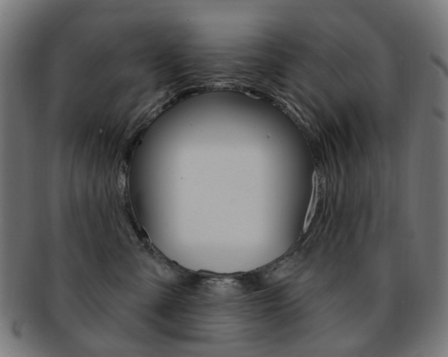 X0000092030427200709061355