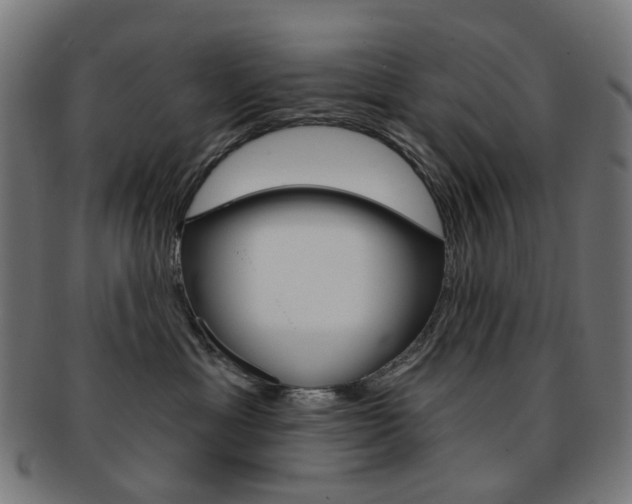 X0000092030429200709061355