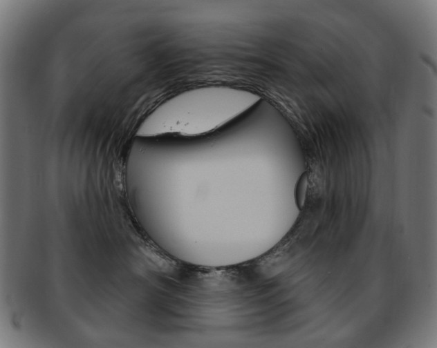 X0000092030430200709061355