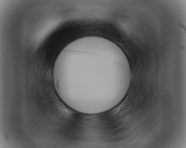 X0000092030431200709061355