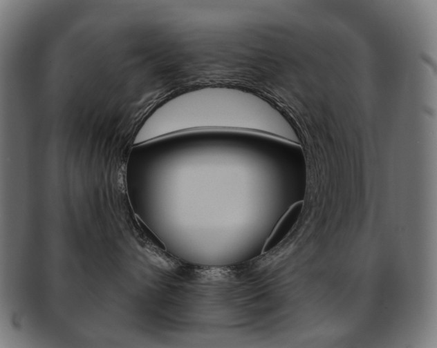 X0000092030432200709061355