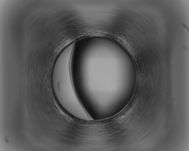 X0000092030433200709061354