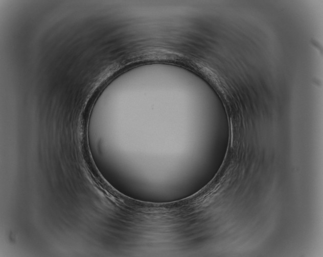 X0000092030435200709061354