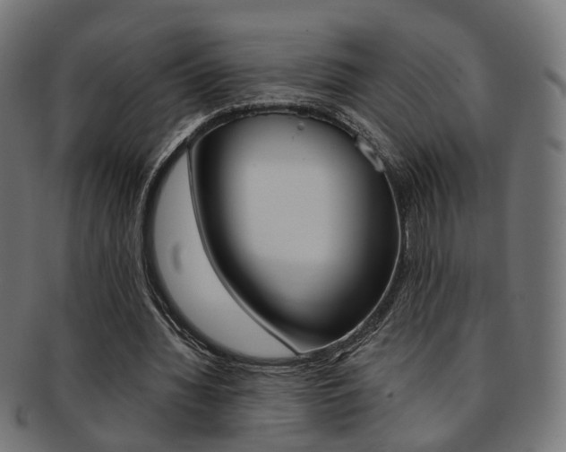X0000092030436200709061354