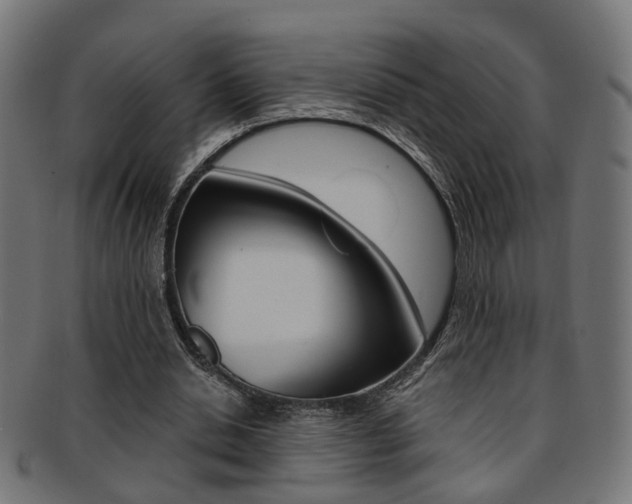 X0000092030438200709061354