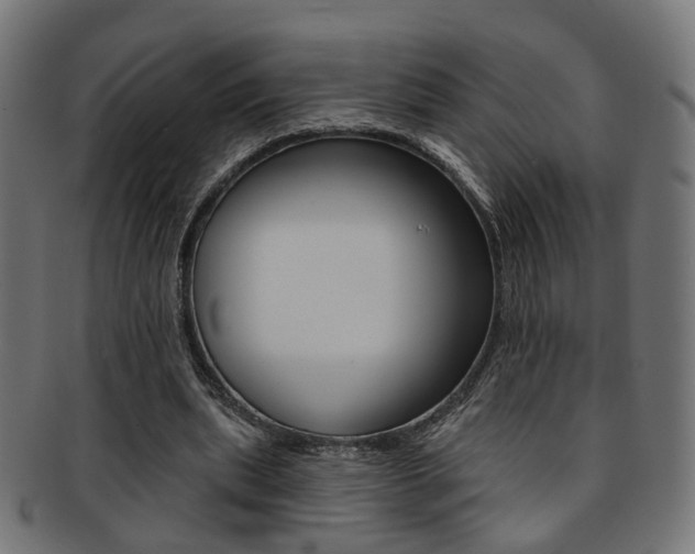 X0000092030439200709061354