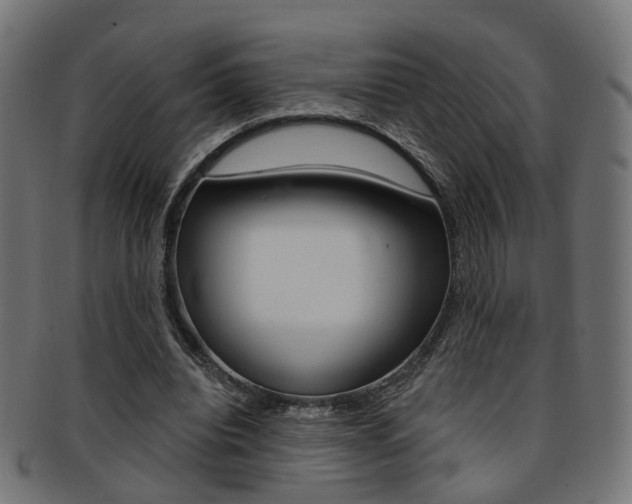 X0000092030440200709061354