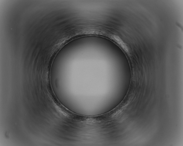 X0000092030441200709061354