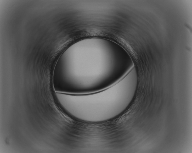 X0000092030442200709061354