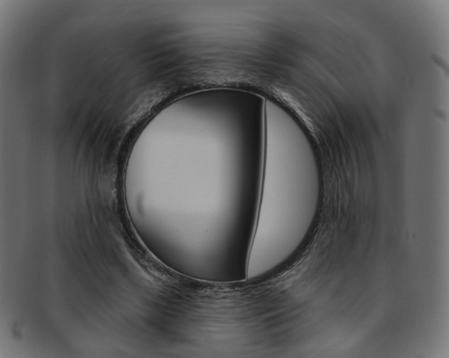 X0000092030443200709061354