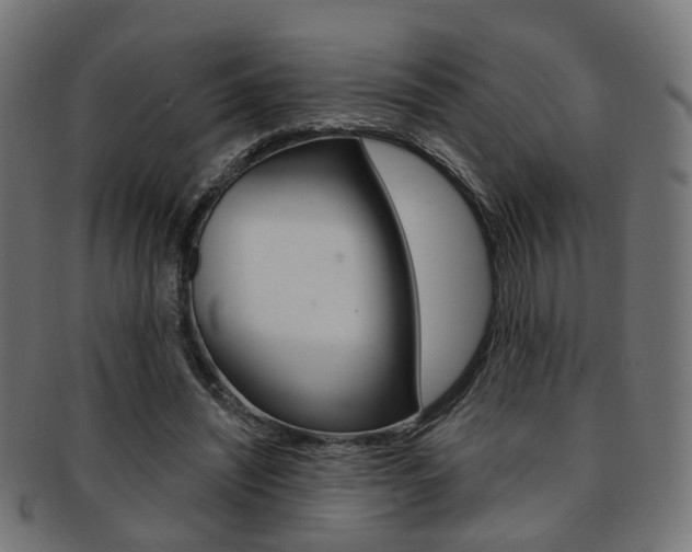 X0000092030444200709061354