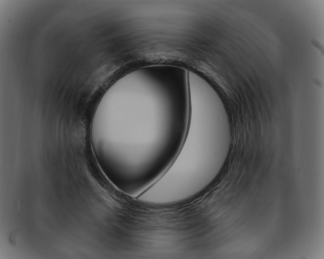 X0000092030448200709061354