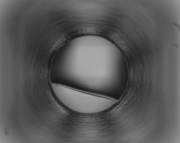 X0000092030449200709061354