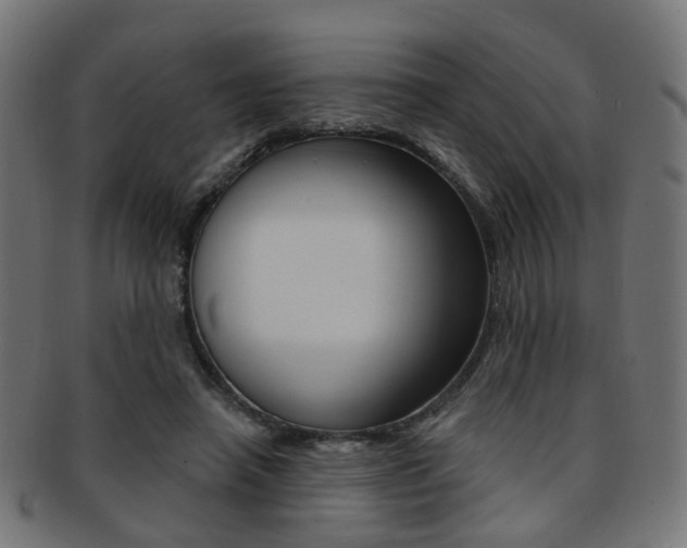X0000092030450200709061354