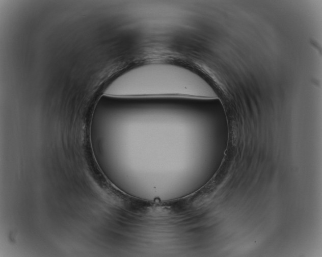 X0000092030451200709061354