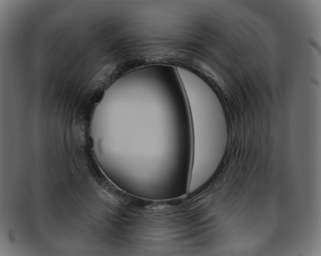 X0000092030452200709061354