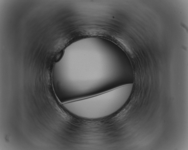 X0000092030453200709061354